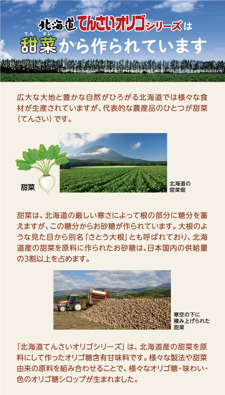 北海道てんさいオリゴシリーズは 甜菜から作られています
