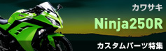 ニンジャ250R(Ninja250R)カスタムパーツ特集