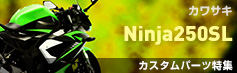 Ninja250SLカスタムパーツ特集