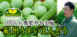 100%有機肥料で育てるこだわりうすいえんどう！和歌山県特別栽培農産物に認証済！！
