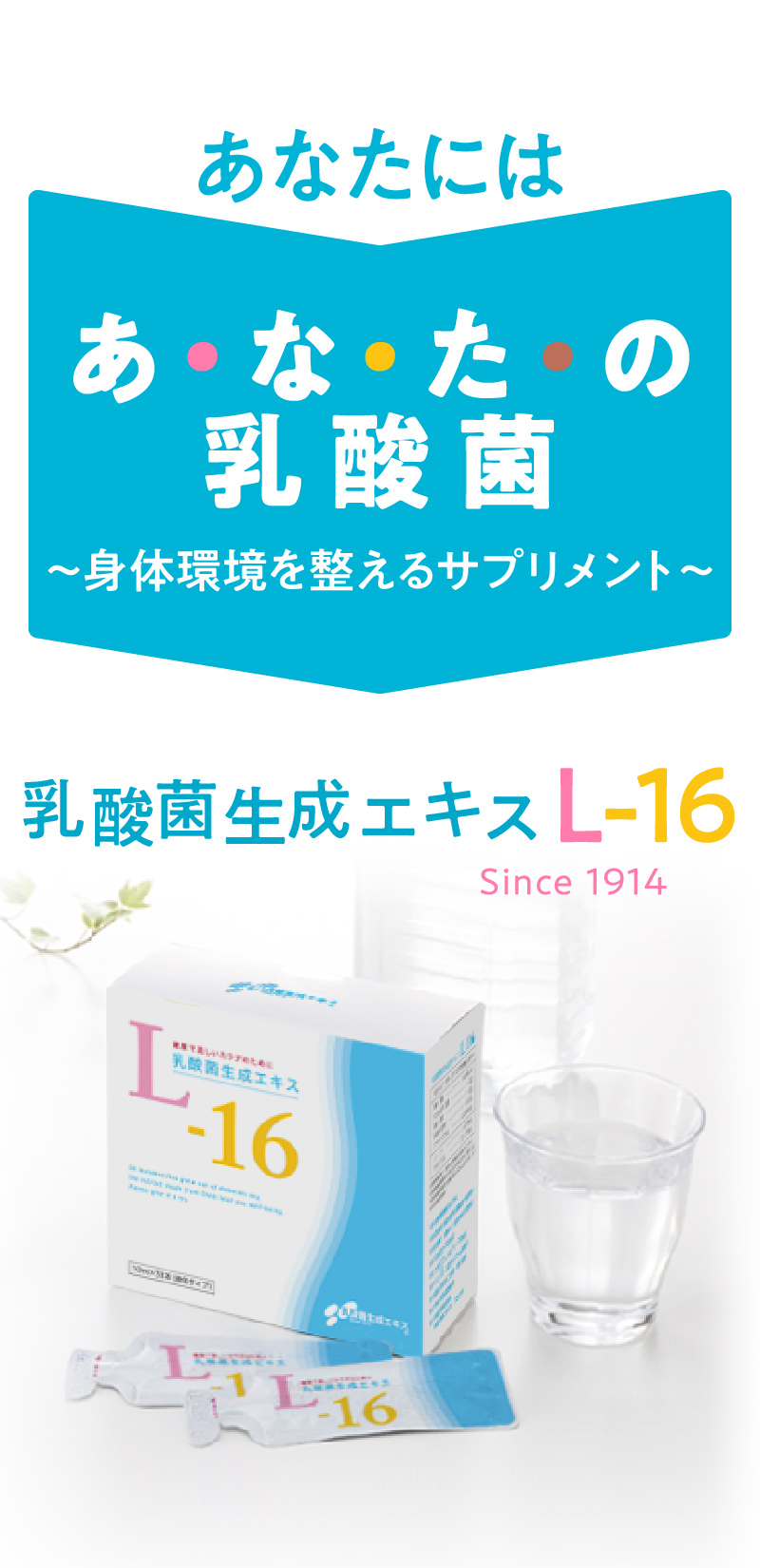 楽天市場】乳酸菌生成エキス L-16 1箱（10ml×30包） (約1ヵ月分 