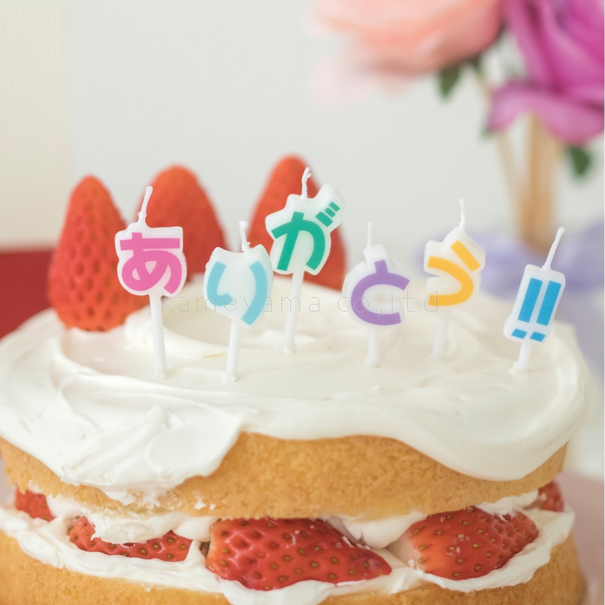 楽天市場】誕生日 バースデーケーキ カメヤマキャンドル ありがとうキャンドル ギフトミニ かわいいキャンドル : 誕生日ケーキのお店ケベック