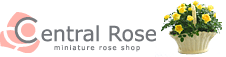 セントラルローズ｜Central Rose