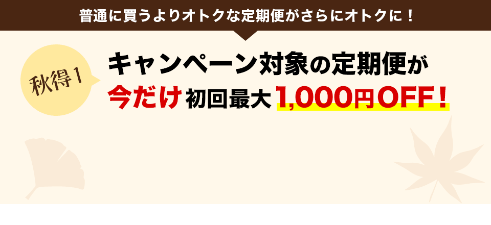 キャンペーン対象の定期便が今だけ初回最大1000円OFF！