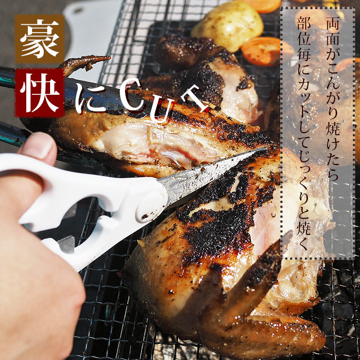 楽天市場】【 送料無料 】 バーベキュー BBQ 鶏の丸焼き スパッチ 