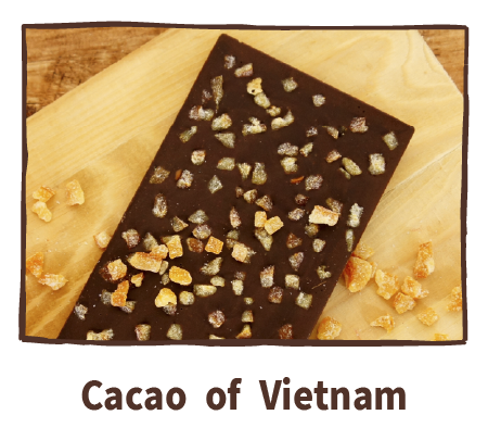Cacao of Vietnam