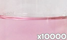 「コチニールレッドAL （コチニール色素）」の水溶希釈例（10000倍）