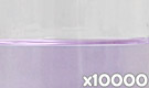 「ハイレッドV80 （ムラサキイモ色素）」の水溶希釈例（10000倍）