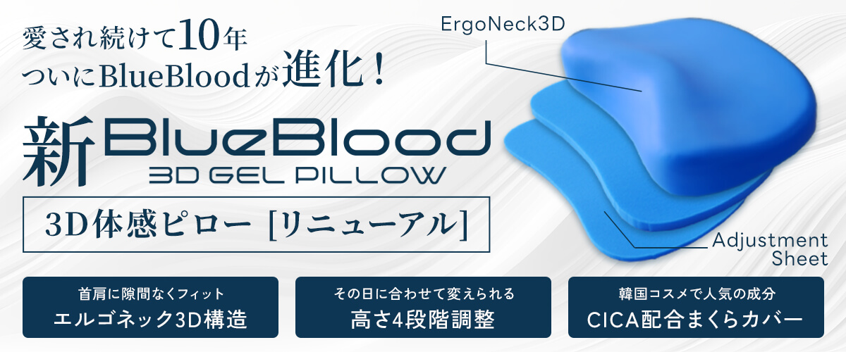 新・BlueBlood3D体感ピロー