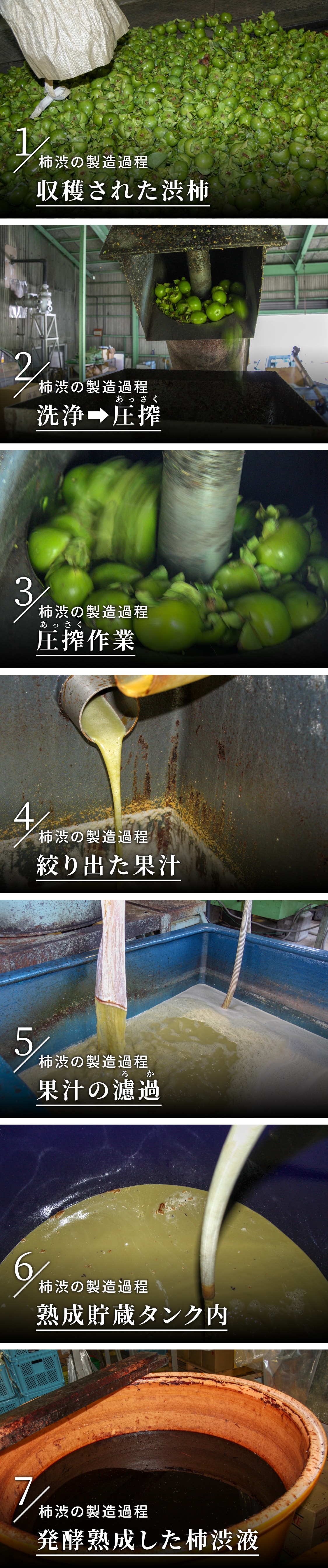 顆粒柿渋 粉末柿渋 100g 袋 袋を溶かすと柿渋液3.3リットル分になります Ooki na Waribiki - 素材/材料 -  edmontonquotient.com