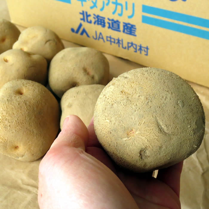 キタアカリ 馬鈴薯 春作種芋1kg