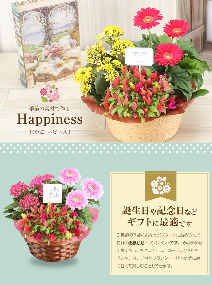 楽天市場 誕生日 花 ギフト 鉢植え 3種の花で作る季節の花かご ハピネス 敬老の日 花むすび 楽天市場店