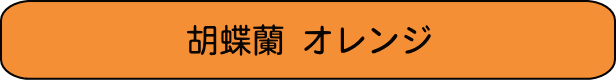 胡蝶蘭　オレンジ