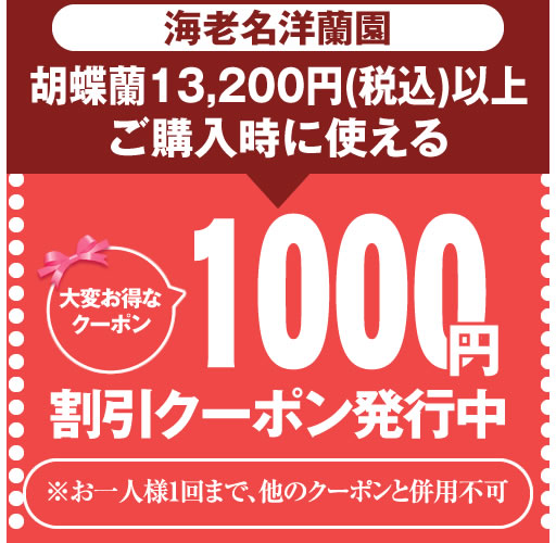 クーポン150円
