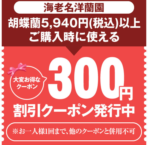 クーポン150円