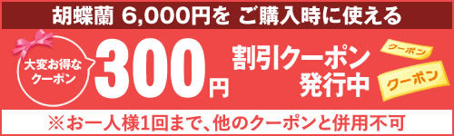クーポン300円