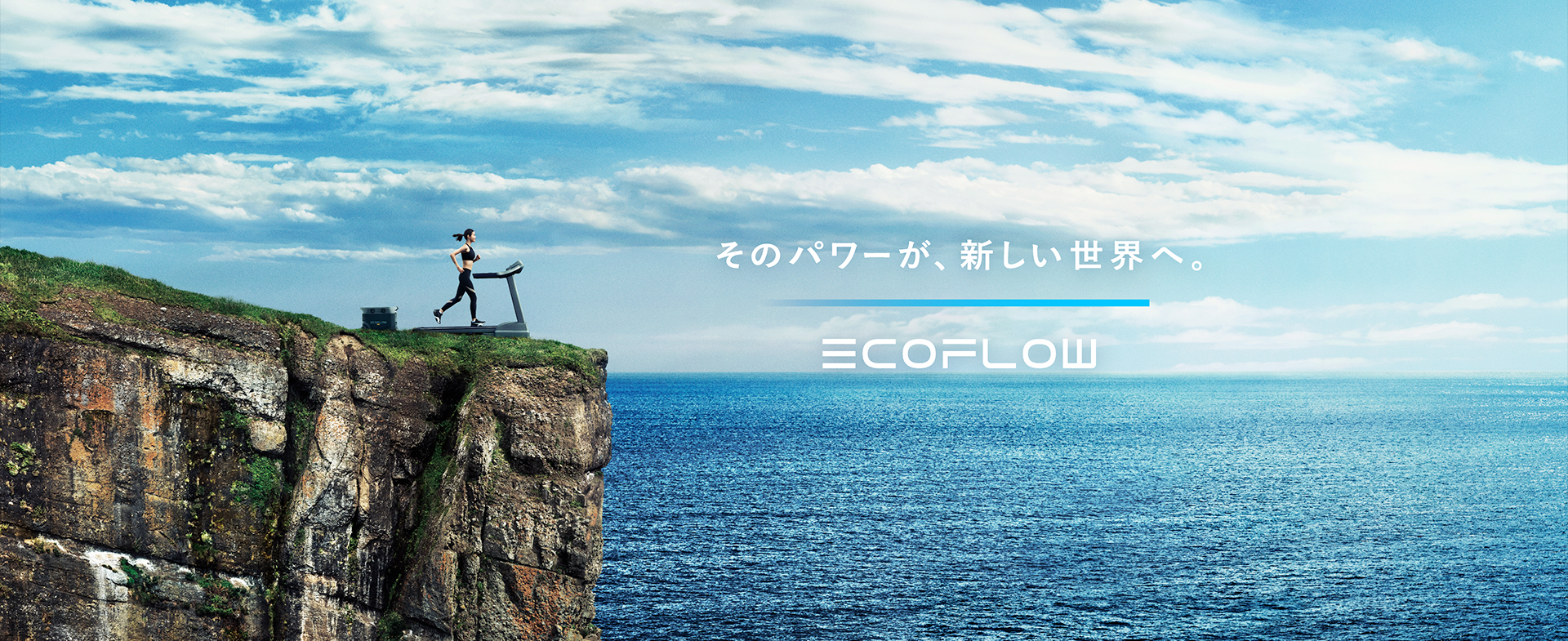EcoFlow MV