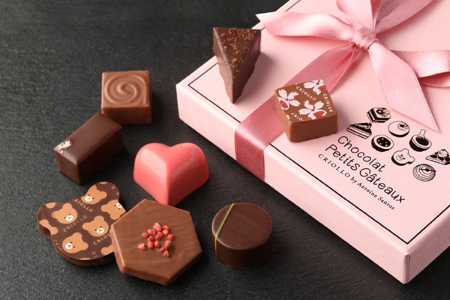 Chocolat Petit Gateau ショコラ・プチガトーセット（8粒）