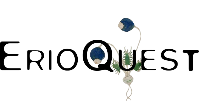 logo:南アフリカ珍奇植物エリオクエスト