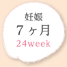 妊娠 7ヶ月 24week