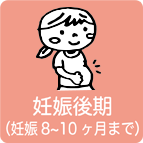 妊娠後期（妊娠8~10ヶ月まで）