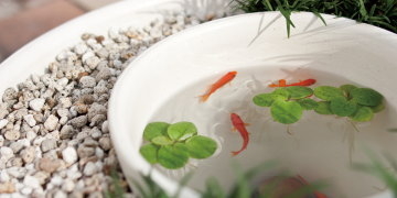 ガーデンパン・水鉢 