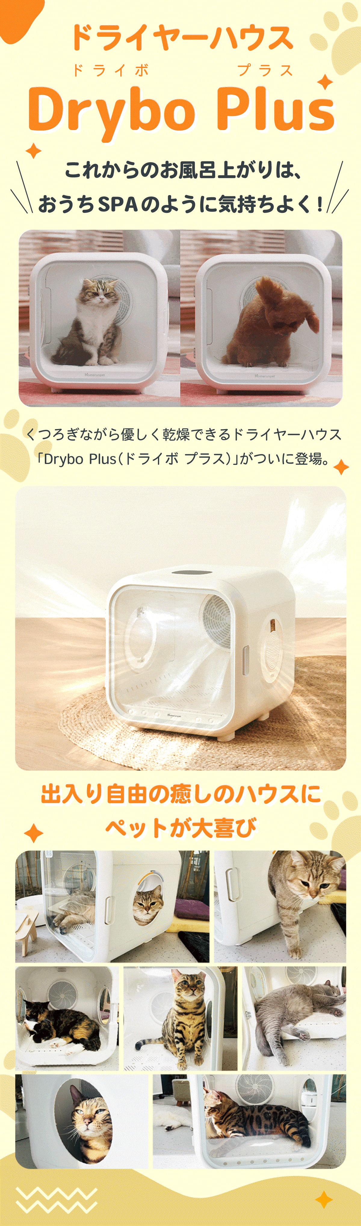 楽天市場】Drybo Plus ペットドライヤー ハウス PD50 自動 ペット乾燥 