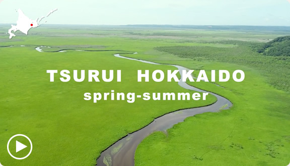TSURUI HOKKAIDO spring-summer