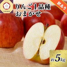 【訳あり】りんご1品種おまかせ 約5kg
