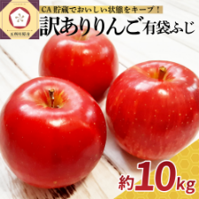 【訳あり】りんご 不揃い 5月7月 10kg 有袋ふじ