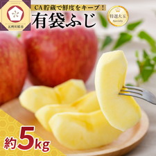 りんご 有袋ふじ 5kg 特選