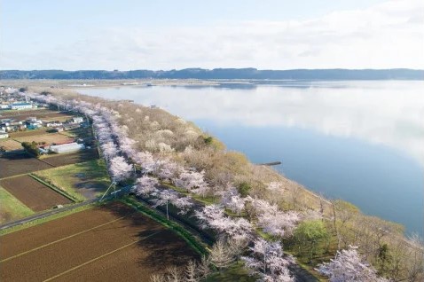 小川原湖を中心とした環境保全事業