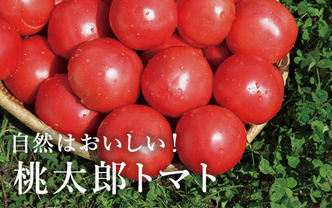 自然はおいしい！桃太郎トマト