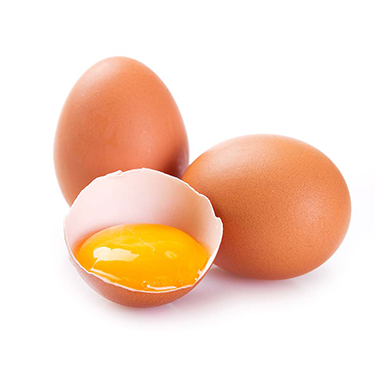 卵・鶏類