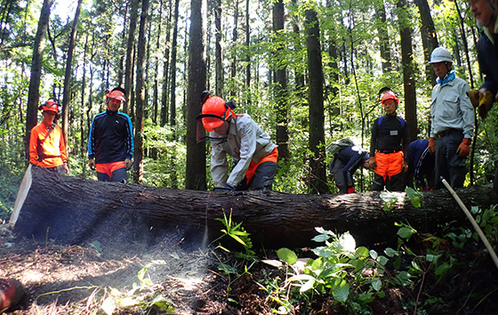 森林整備・自伐型林業