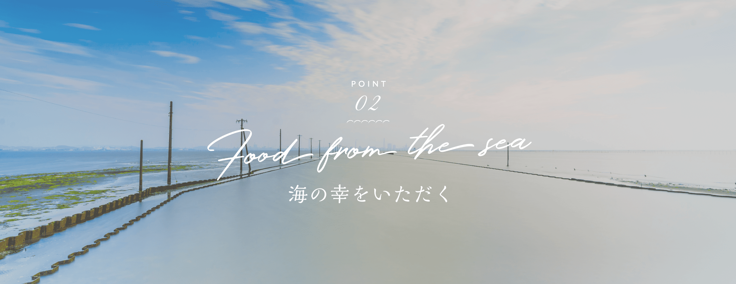 POINT 02 Food from the sea 海の幸をいただく