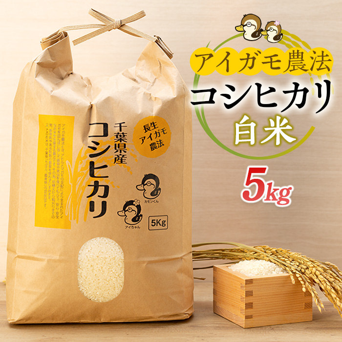 【ふるさと納税】アイガモ農法によるお米 5kg 白米 コシヒカリ