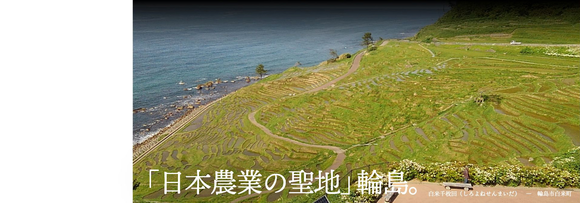 「日本農業の聖地」輪島。