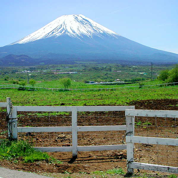 富士ヶ嶺高原の恵み