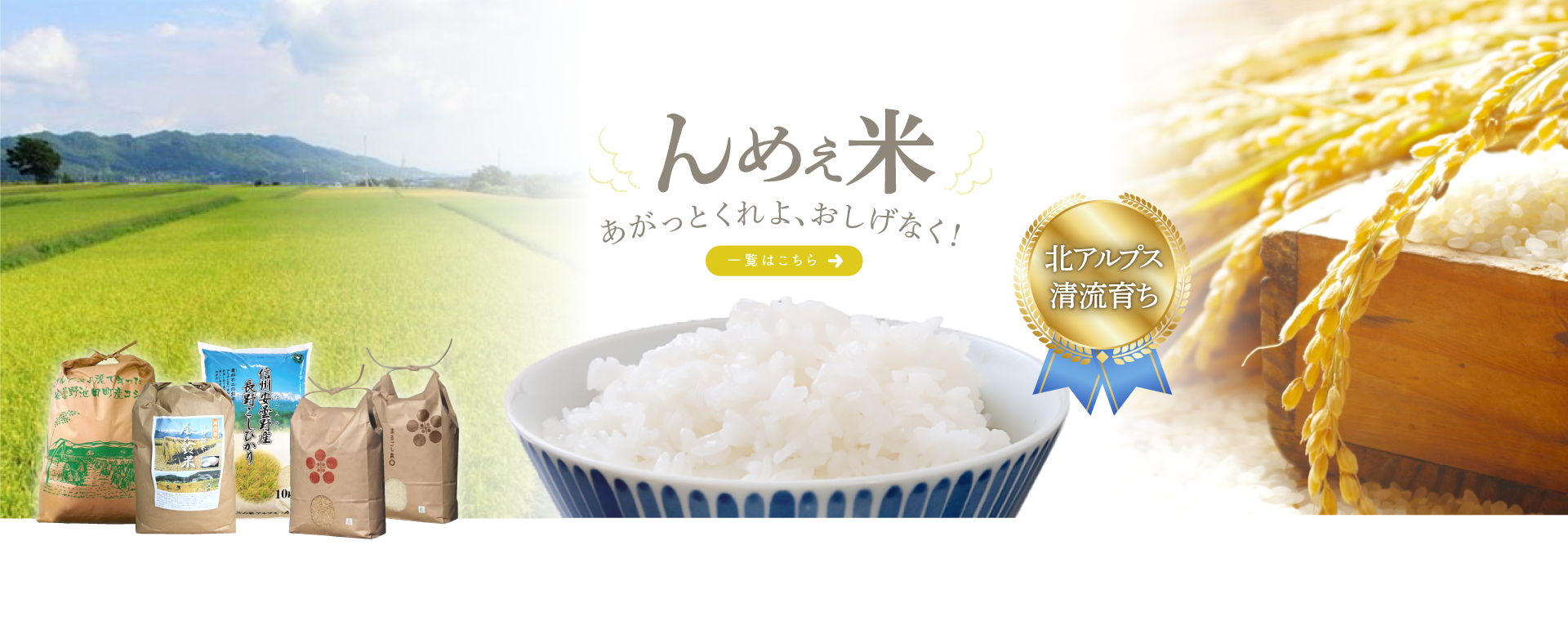 池田町の米