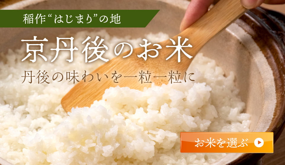 京丹後のお米