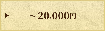 ~20,000円