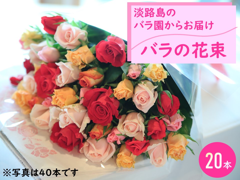 新しいコレクション ふるさと納税 淡路島のバラ園からお届け バラの花束本 限定価格セール Mastercuttool Com