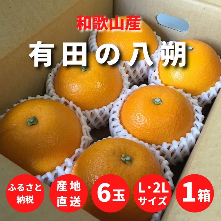 ハウス追熟 天草オレンジ(10玉〜15玉入り)※2024年1月中旬頃から発送