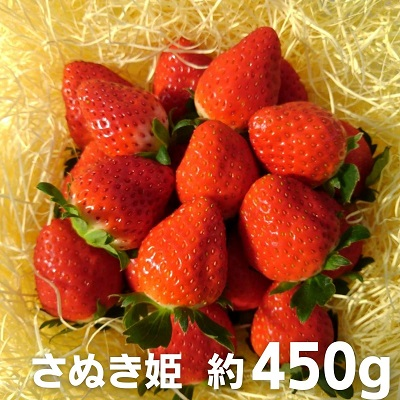 観音寺産いちご(さぬき姫)約450g×1箱 讃岐の美味しい苺