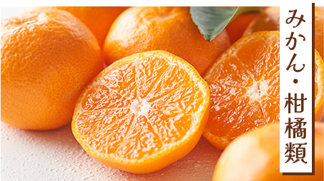 みかん柑橘類