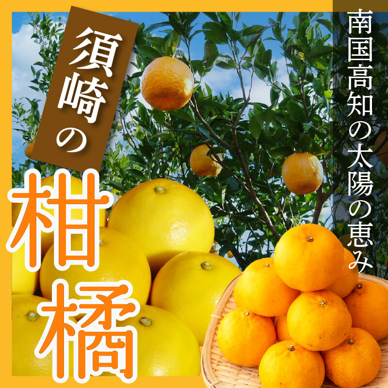 須崎の柑橘
