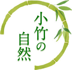 小竹の自然
