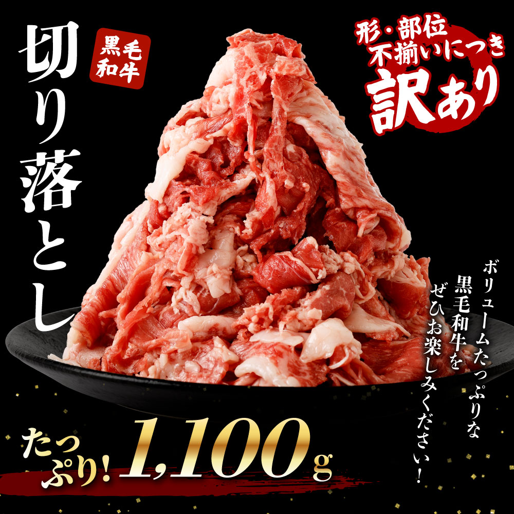 A5ランクの熊本県産 黒毛和牛 500g G-106 ※1ヶ月おきにお届け 焼肉用 最安値に挑戦！ 焼肉用