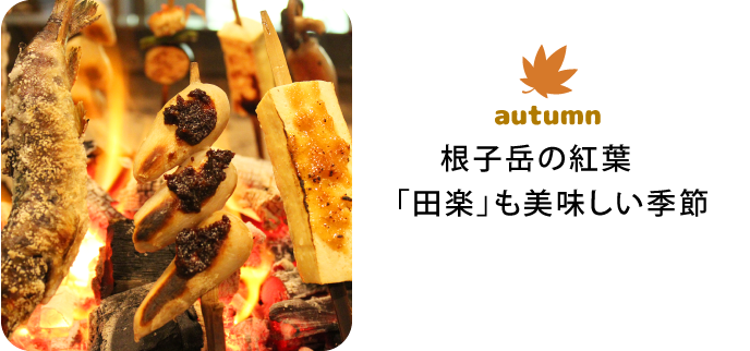 autumn 根子岳の紅葉 「田楽」も美味しい季節